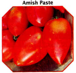 amish paste