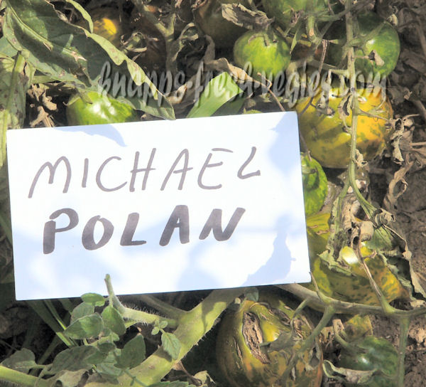 michael pollan